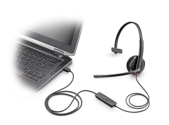 C310 21_enlqs.jpg